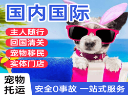 南通兴东机场邮寄国际宠物托运 【国